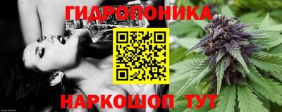 шишки Будённовск