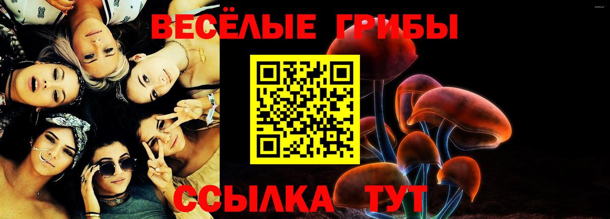 Галлюциногенные грибы ЛСД  Вход с VPN  Санкт-Петербург 